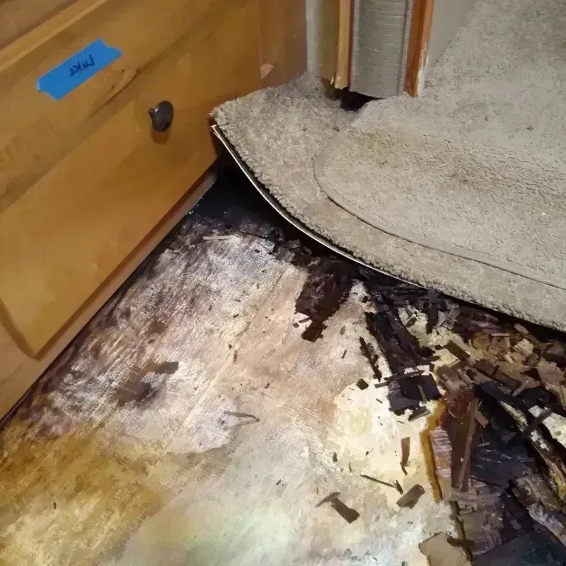 Wood Floor Water Damage in Blue Island, IL